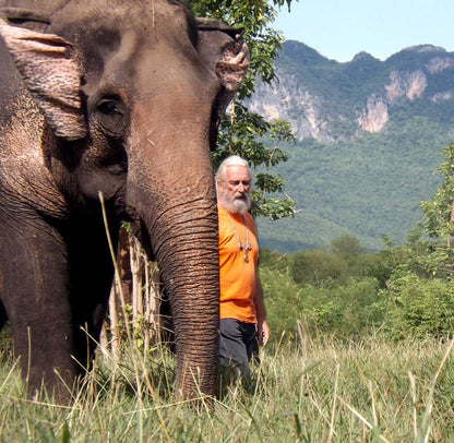 LA SAGESSE DE L'ELEPHANT - Camping Vacances