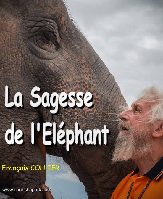 LA SAGESSE DE L'ELEPHANT - Camping Vacances