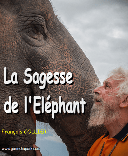 LA SAGESSE DE L'ELEPHANT - Camping Vacances