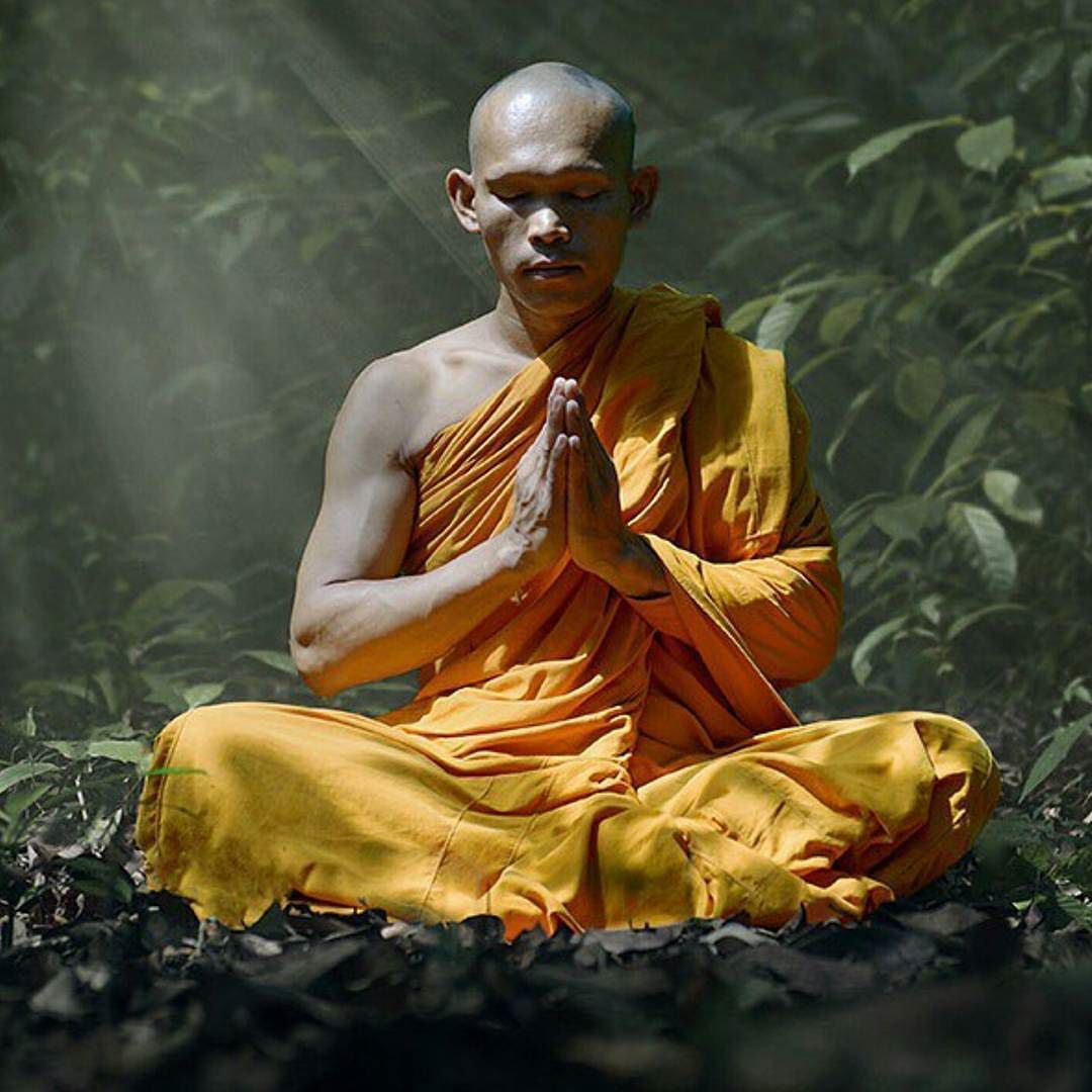 LA SAGESSE DE L'ELEPHANT - Camping Vacances