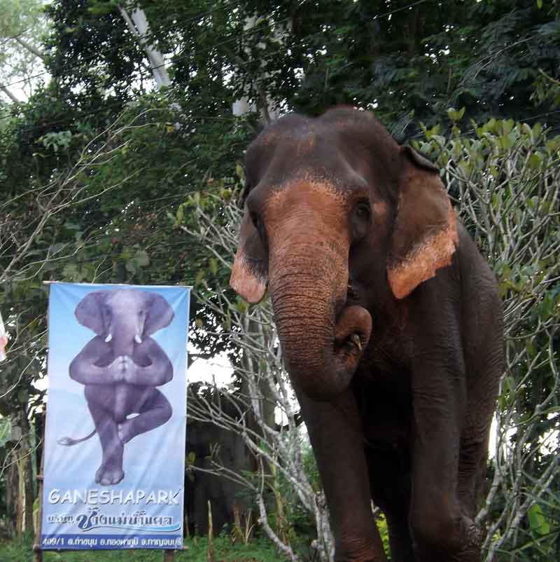 LE MIRACLE DE LA LUNE - Camping Vacances