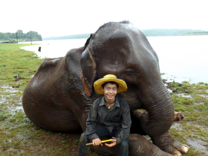 LE MIRACLE DE LA LUNE - Camping Vacances