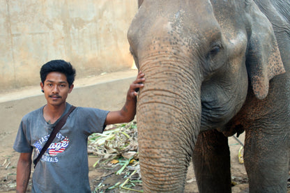 LE MIRACLE DE LA LUNE - Camping Vacances