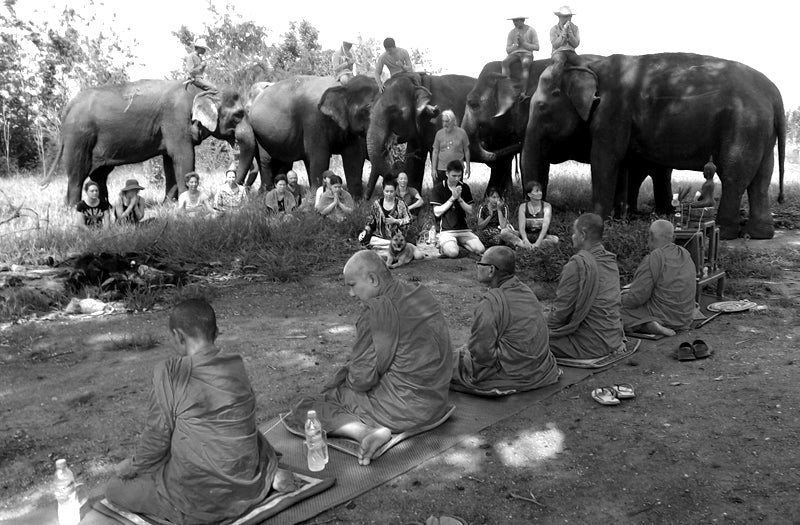 LE PARADIS ET L'ENFER - Camping Vacances