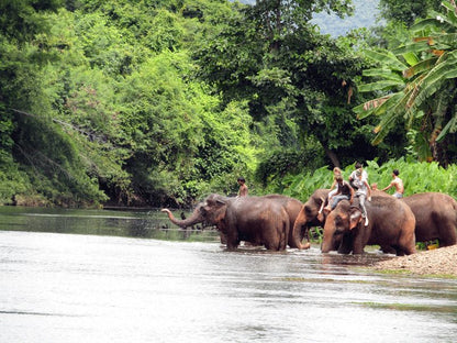LE PARADIS ET L'ENFER - Camping Vacances