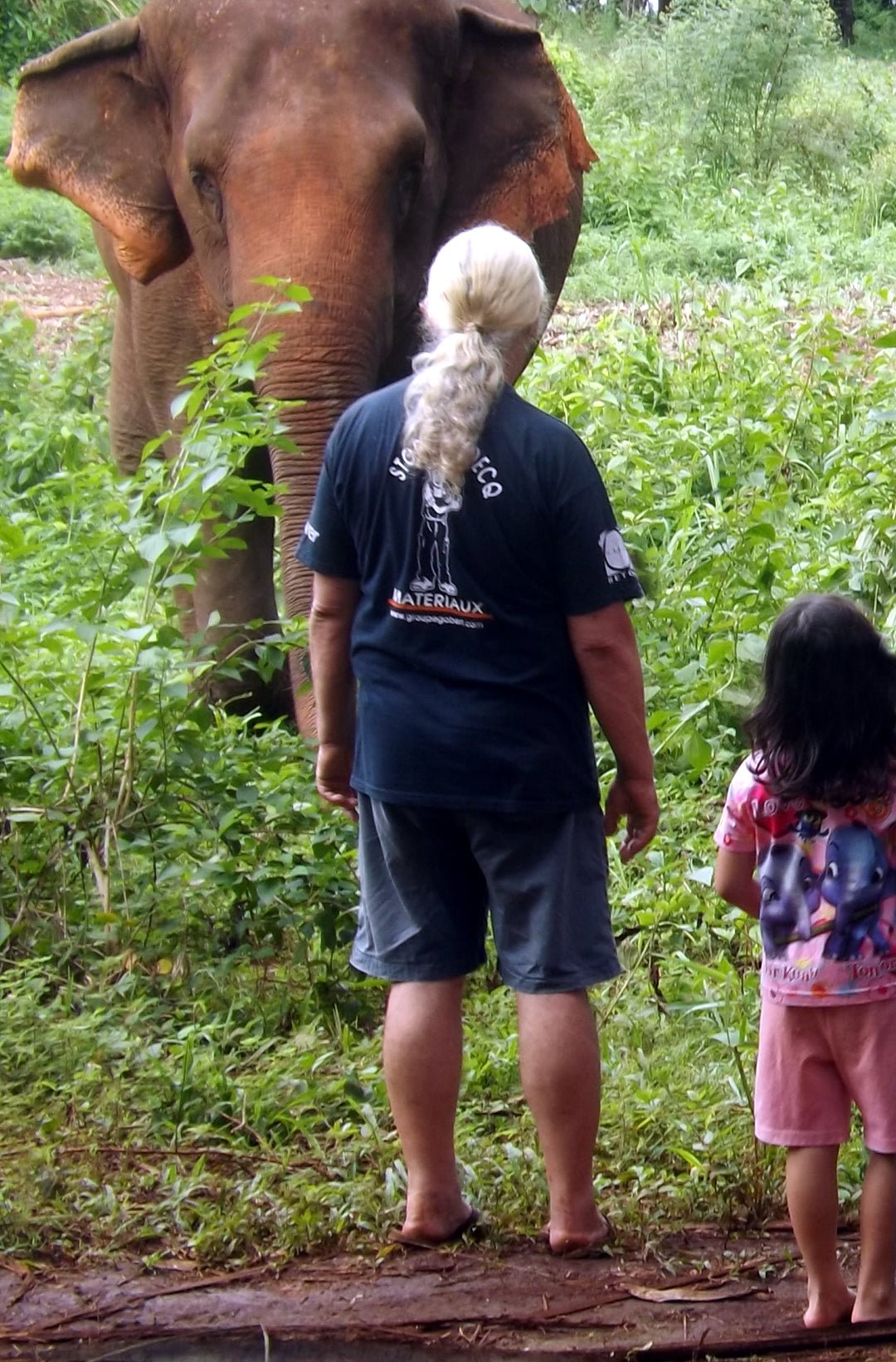 L'ELEPHANT QUE J'AIME - Camping Vacances