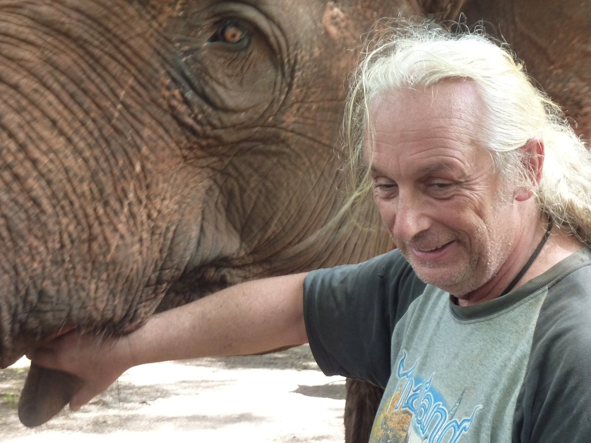 L'ELEPHANT QUE J'AIME - Camping Vacances