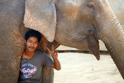 L'ELEPHANT QUE J'AIME - Camping Vacances