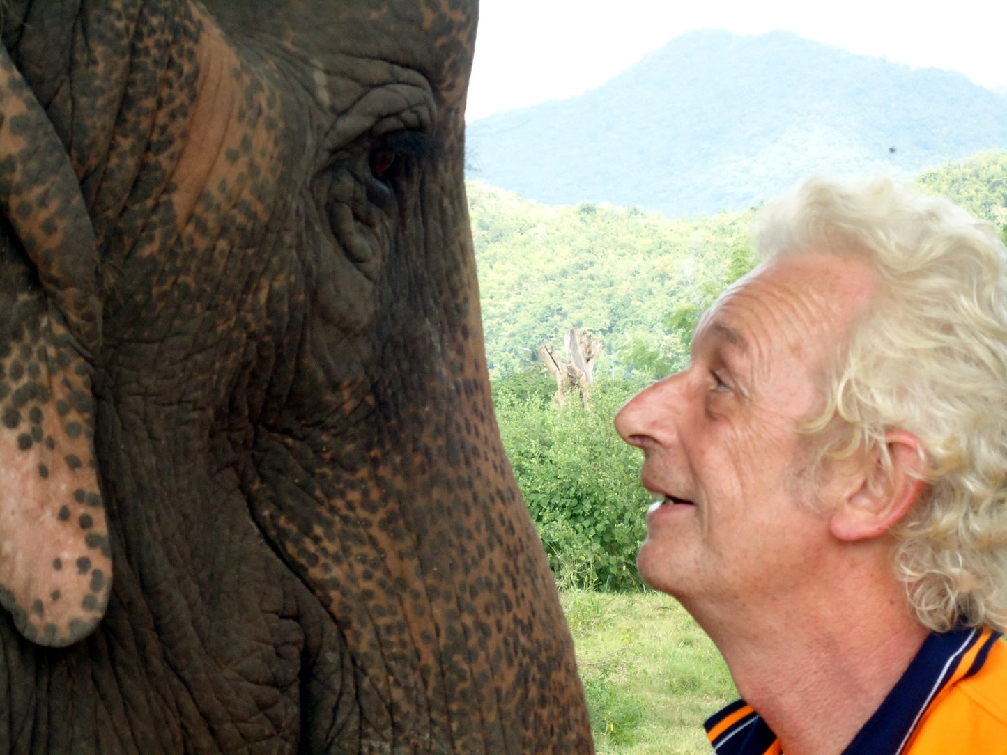 L'ELEPHANT QUE J'AIME - Camping Vacances