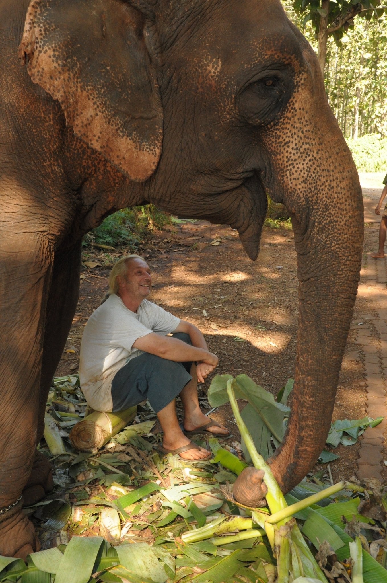 L'ELEPHANT QUE J'AIME - Camping Vacances