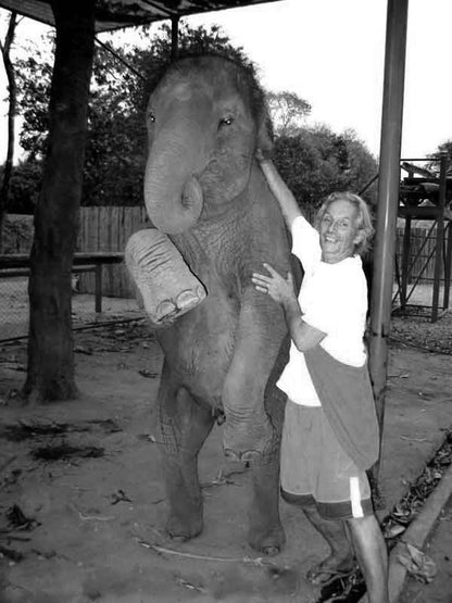 L'ELEPHANT QUE J'AIME - Camping Vacances