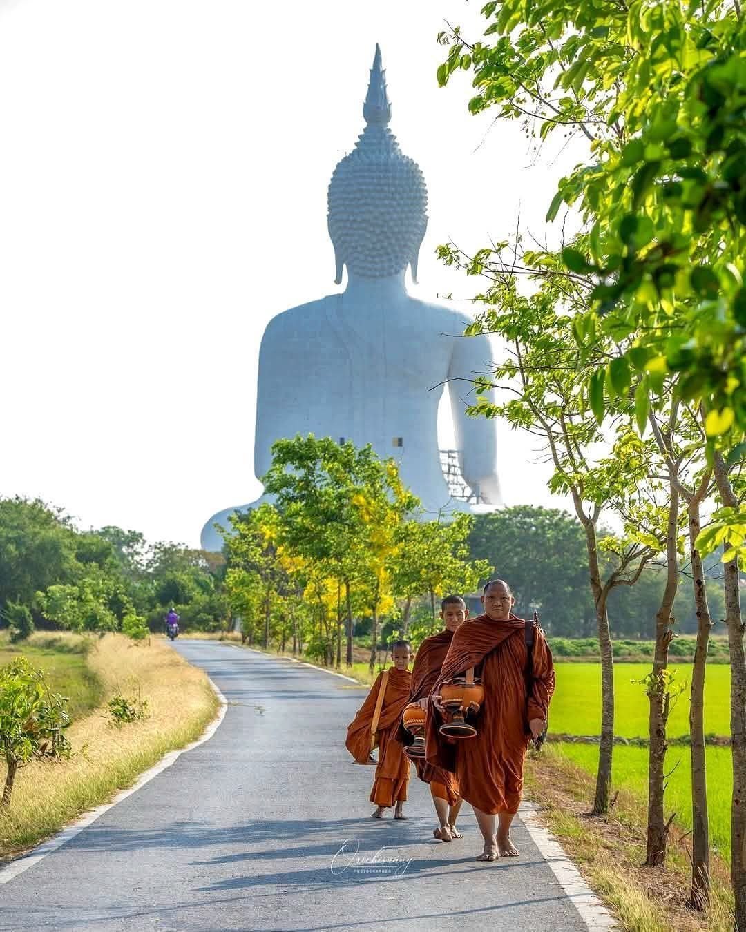 MA FAMILLE, MES ELEPHANTS ET MOI - Camping Vacances