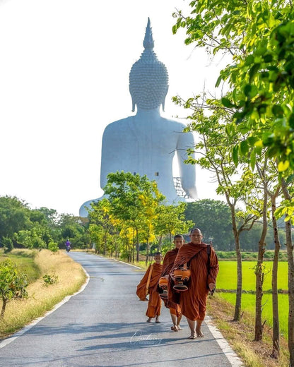 MA FAMILLE, MES ELEPHANTS ET MOI - Camping Vacances