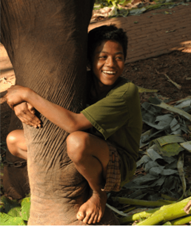 MA FAMILLE, MES ELEPHANTS ET MOI - Camping Vacances