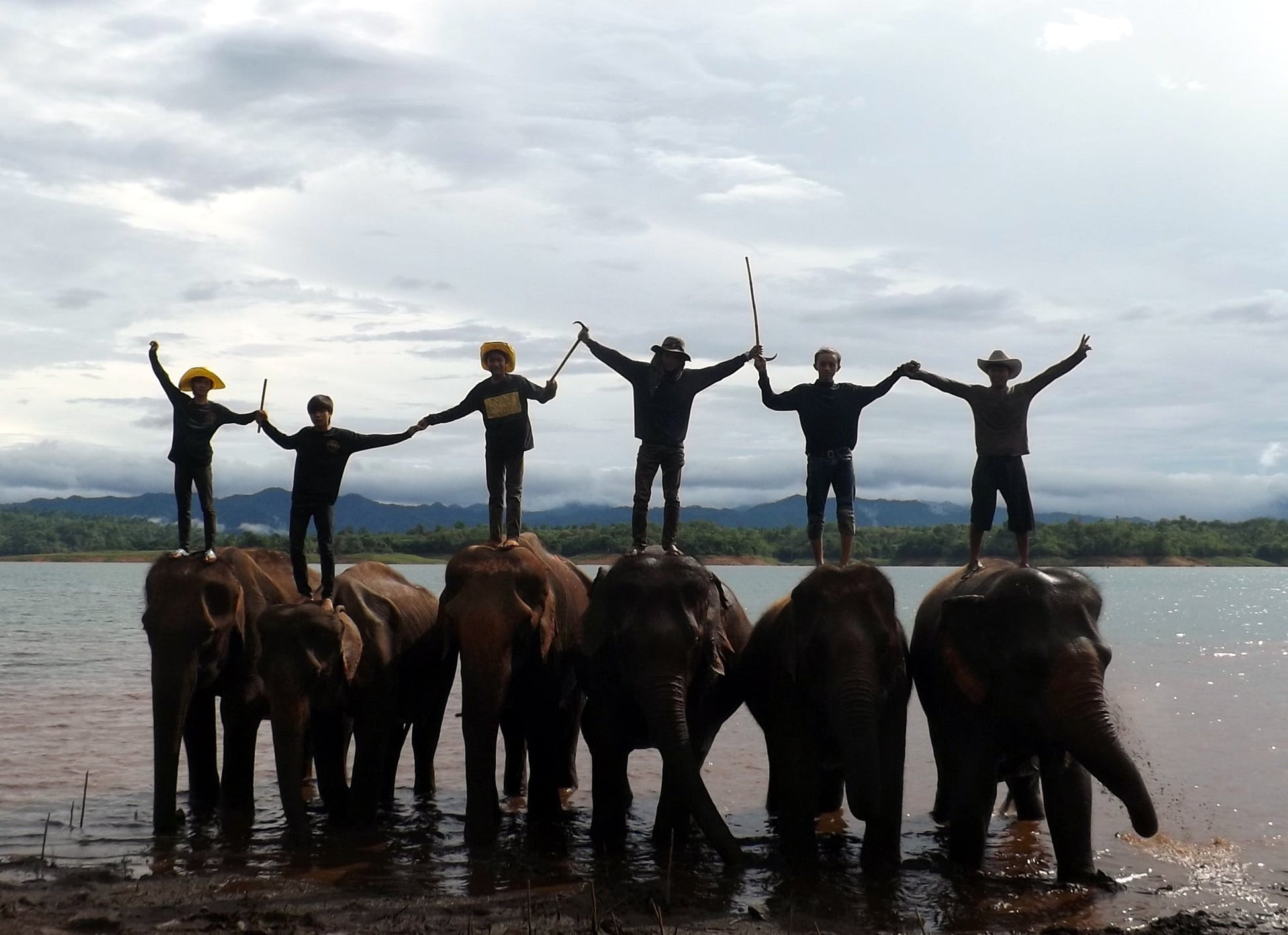 MA FAMILLE, MES ELEPHANTS ET MOI - Camping Vacances