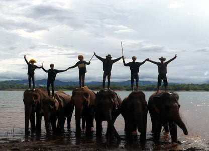 MA FAMILLE, MES ELEPHANTS ET MOI - Camping Vacances